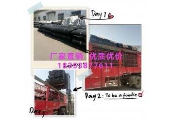 供應鞍山凹凸塑料排水板/山東排水板生產廠家