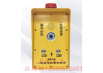 一鍵緊急報警系統,一鍵報警視頻聯動報警報警