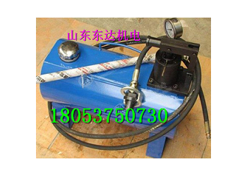 手動(dòng)快速升柱器DZD40 手動(dòng)泵站山東廠家