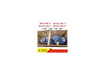 MA減速機總成,無極減速機,擺線針輪減速機
