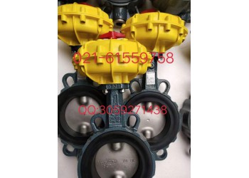 現(xiàn)貨直銷原裝正品德國(guó)依博羅EBRO氣動(dòng)蝶閥
