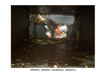 成都學(xué)校 單位 飯店排煙管道清洗凈化器清洗風(fēng)機(jī)清洗