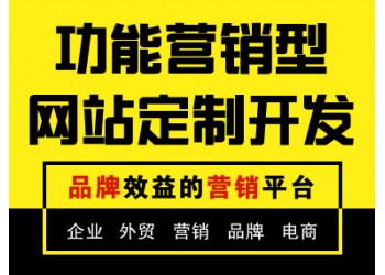 系統(tǒng)軟件、應(yīng)用軟件、網(wǎng)站開(kāi)發(fā)等 網(wǎng)站定制+微信定制