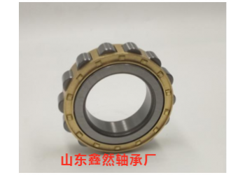 供應(yīng)圓柱滾子軸承RN309M  502309H