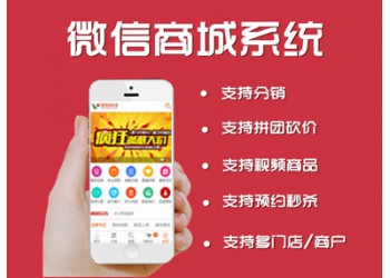 系統(tǒng)軟件、應(yīng)用軟件、網(wǎng)站開(kāi)發(fā)等 PC/移動(dòng)/微信端