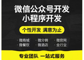 系統(tǒng)軟件、應(yīng)用軟件、網(wǎng)站開(kāi)發(fā)等 微信網(wǎng)站+微信公眾號(hào)