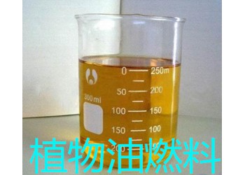 植物油燃料技術(shù)培訓(xùn)   植物油燃料實(shí)體廠家