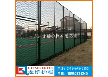 日照籃球場(chǎng)圍欄 球場(chǎng) 體育場(chǎng)安全鐵絲網(wǎng)圍網(wǎng) 浸塑鋼絲 龍橋