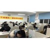 中級會計培訓哪家專業/青島格物教育