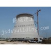 電廠鋼筋混凝土灰庫新建/江蘇德盛集團