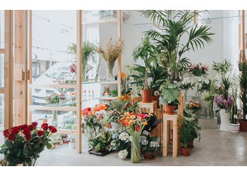 合肥花店裝修要點，網紅花店這樣設計，讓你的夢想照進現實