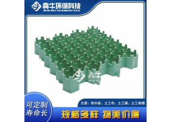 中山市園林護(hù)坡綠化植草格詳細(xì)咨詢
