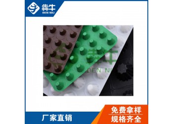 揚(yáng)州市hdpe綠化疏水板型號齊全