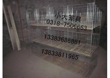 售鵪鶉籠鷓鴣籠雞籠鴿子籠兔子籠運(yùn)輸籠貓籠狗籠鳥(niǎo)籠八哥籠