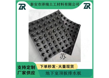 深圳30高4公分蓄排水板護坡復合排水網
