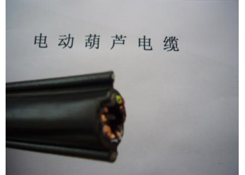 供應（維爾特）YR，YRP，YRF電動葫蘆電纜