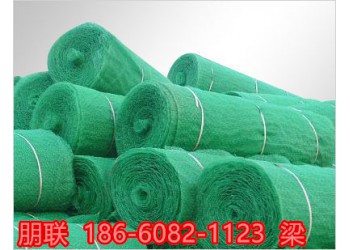 南京三維植被網工廠現發現售