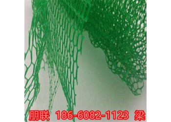 常州三維植被網新行情報價