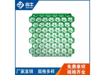 湘潭綠色環(huán)保停車場消防通道植草板量大從優(yōu)