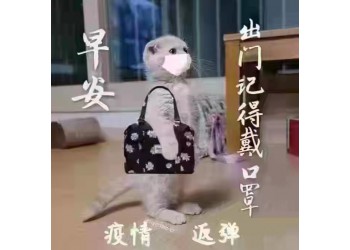 進(jìn)口衣服鞋子如何清關(guān)運(yùn)輸?shù)缴虾?> <p>
	進(jìn)口衣服鞋子如何清關(guān)運(yùn)輸?shù)缴虾?
</p>
<p>
	<br />
[/進(jìn)口，是指將貨物從外國(guó)境外移送至我國(guó)境內(nèi)的行為。稅法規(guī)定，凡進(jìn)入我國(guó)海關(guān)境內(nèi)的貨物，應(yīng)于進(jìn)口報(bào)關(guān)時(shí)向海關(guān)繳納進(jìn)口環(huán)節(jié)增值稅。<br />
 清關(guān)（Customs Clearance）即結(jié)關(guān)，是指進(jìn)口貨物、出口貨物和轉(zhuǎn)運(yùn)貨物進(jìn)入或出口一國(guó)海關(guān)關(guān)境或國(guó)境必須向海關(guān)申報(bào)，辦理海關(guān)規(guī)定的各項(xiàng)手續(xù)，履行各項(xiàng)法規(guī)規(guī)定的義務(wù)。<br />
size]
</p></div></div>
<div   id=