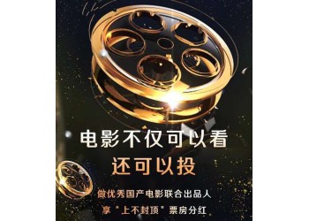 《誤殺2》投資份額認(rèn)購(gòu)結(jié)束了嗎?個(gè)人能參與嗎?
