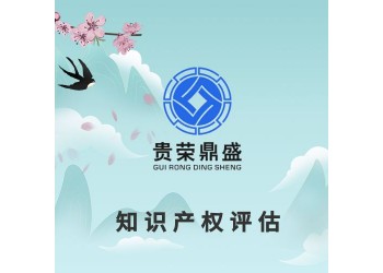 廈門市版權(quán)價(jià)值評(píng)估知識(shí)產(chǎn)權(quán)評(píng)估專利和軟著評(píng)估商標(biāo)價(jià)值評(píng)估