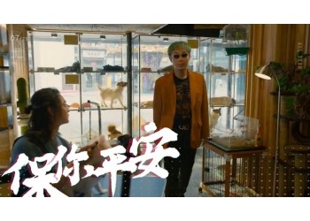 電影《保你平安》投資5W能賺多少?怎么個人投資?