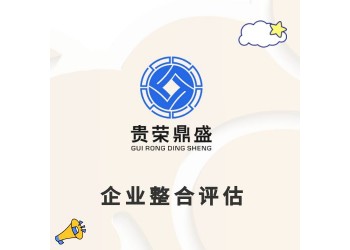 四川省綿陽(yáng)市企業(yè)股權(quán)評(píng)估企業(yè)資產(chǎn)評(píng)估改制評(píng)估