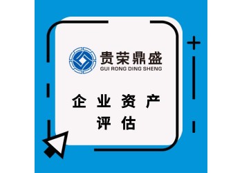 貴州省貴陽(yáng)市企業(yè)股權(quán)價(jià)值評(píng)估股東價(jià)值評(píng)估企業(yè)負(fù)債評(píng)估