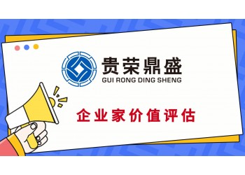河南省周口市專利價(jià)值評(píng)估無形資產(chǎn)怎么評(píng)估價(jià)值