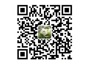 《奇門(mén)遁甲2》投資該怎么投？風(fēng)險(xiǎn)小嗎？收益如何？