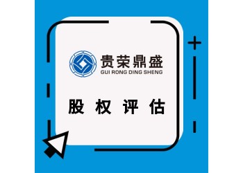 廣東省中山市企業(yè)凈資產(chǎn)評(píng)估