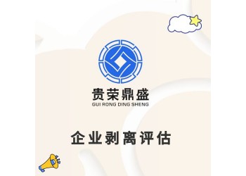 廣東省汕尾市資產(chǎn)剝離資產(chǎn)評(píng)估企業(yè)價(jià)值評(píng)估資產(chǎn)剝離