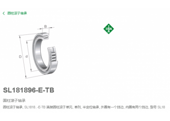 代理德國(guó)INA軸承SL181896-E-TB