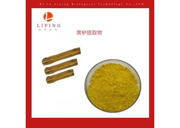 植物園提取物黃櫨提取物漆黃素98%