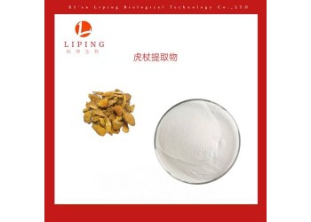 虎杖提取物白藜蘆醇50%98%粉末價格 虎杖苷