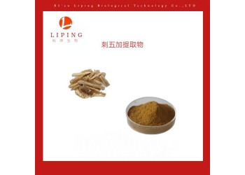 刺五加提取物刺五加皂甙B+E0.8% 1.2%植物濃縮粉