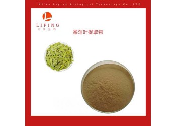 番瀉葉提取物番瀉葉皂甙A+B  3%20% 植物提取物供應(yīng)