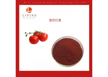 供應(yīng)植物濃縮粉番茄紅素5% 10%