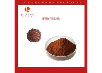 葡萄籽提取物供應 原花青素OPC95%價格