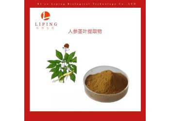 人參莖葉提取物人參皂甙80%UV 植物濃縮粉價格