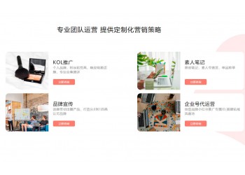 食品類小紅書營(yíng)銷方案 小紅書廣告投放上海氖天
