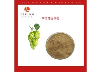 西安櫟萍生物推薦啤酒花提取物啤酒花黃酮5% 10%
