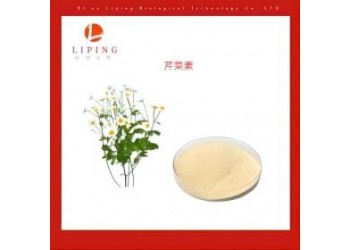 櫟萍生物推薦洋甘菊提取物芹菜素1%-98%520-36-5