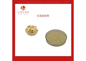 供應生姜提取物姜辣素1%5%10% 水溶性生姜粉