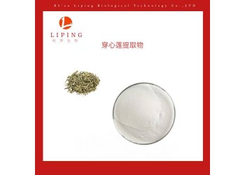 推薦穿心蓮內酯10%50%98%提取物 植物提取物