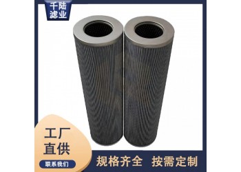 廠家批發(fā) ZA3LS250E2MZ1汽輪機(jī)潤(rùn)滑油濾芯