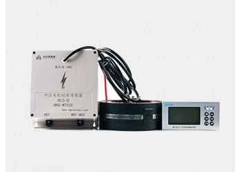 WRS-MTS31中壓電機(jī)絕緣傳感器? 電機(jī)絕緣監(jiān)測(cè)儀沃倫森