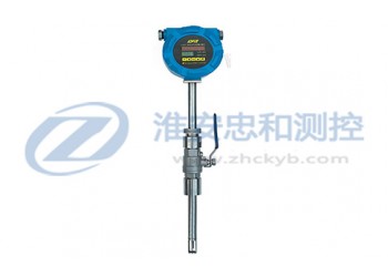 熱式氣體質量流量計廠家,熱式氣體質量流量計價格