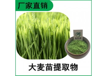 森冉生物 大麥苗提取物 大麥苗粉 植物提取原料粉